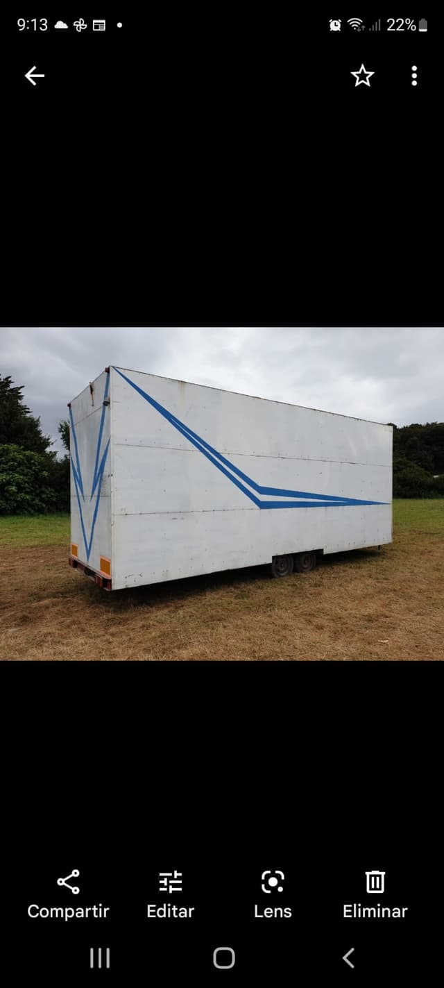 Tira pelotas (tira botes)