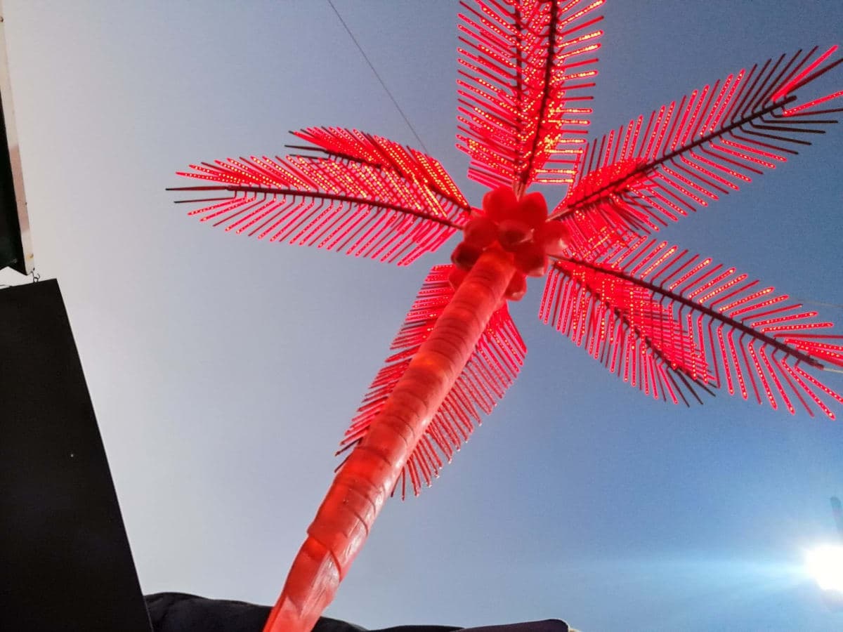 PALMERA LUMINOSA ROJA